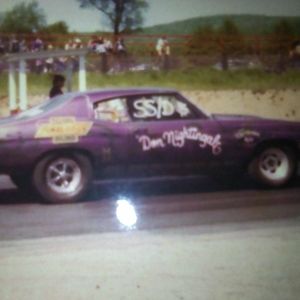 Meet your Posher, Rose